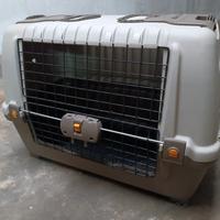 Trasportino da auto per cani 