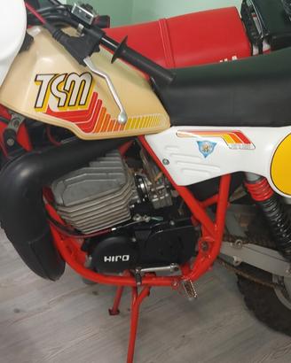 TGM 250 R - PERFETTO - FINANZIABILE