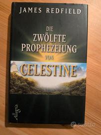 Die Zwölfte Prophezeiung 