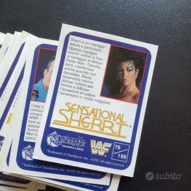 Lotto 102 cards WF Merlin 1991