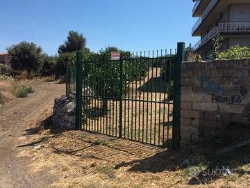 Terreno agricolo Lineri centro