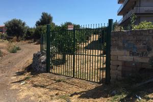 Terreno agricolo Lineri centro