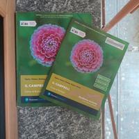 Il Campbell: primo biennio e studiamo insieme