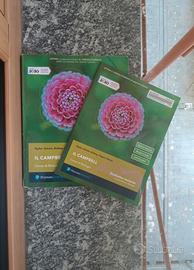 Il Campbell: primo biennio e studiamo insieme