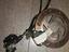Immagine 4