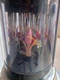 lampada 