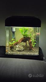 Acquario BILLY 16lt COMPLETO
