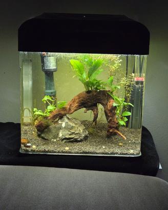 Acquario BILLY 16lt COMPLETO