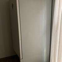 Frigo Positivo 600 LT Mondial