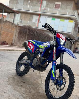 Sherco SEF 300 Hamish MacDonald