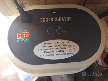 Incubatrice automatica