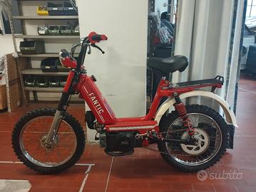 motorino fantic