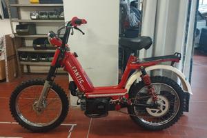 motorino fantic