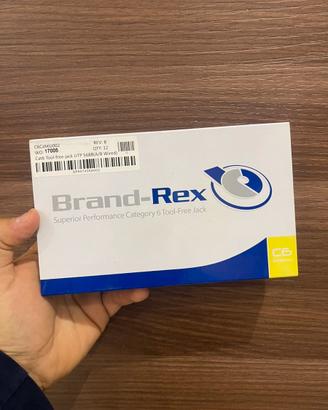 Presa Lan Brand Rex