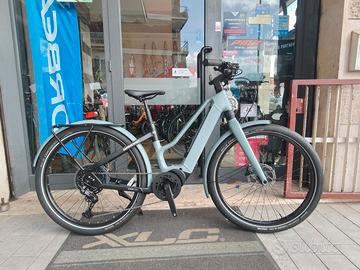 Winora Iride Pure X10