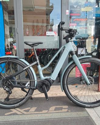 Winora Iride Pure X10
