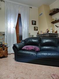 Divani