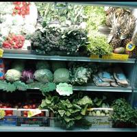 Murale  Frigorifero  Zoin