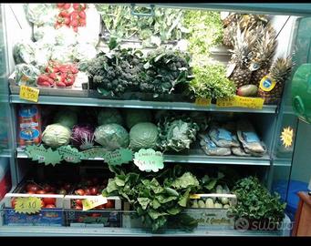 Murale  Frigorifero  Zoin