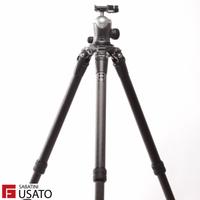 Usato Trepp. Gitzo GT3542LS + Testa GH338QD CV2052
