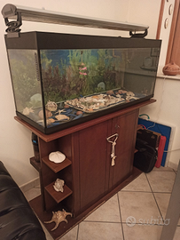 Acquario da 250 litri