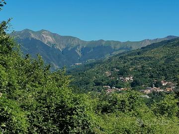 Terreno agricolo boschivo