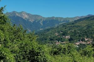 Terreno agricolo boschivo