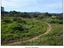 Immagine 9
