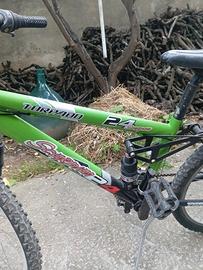 bicicletta 