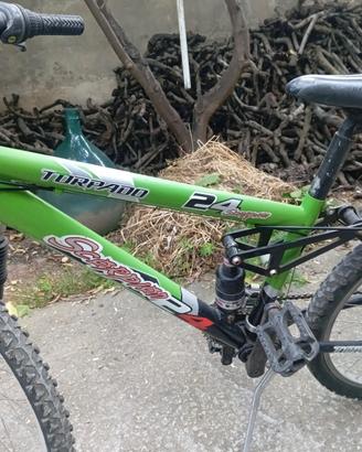 bicicletta 