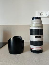Canon EF 70-200 f2.8 + adattatore EF - RF