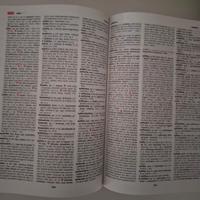 Vocabolario di latino