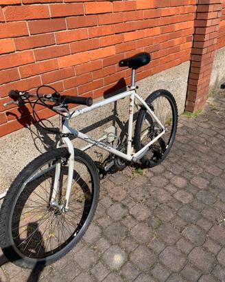 Specialized stumpjumper vintage