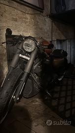 Harley davidson 883 r cafe racer