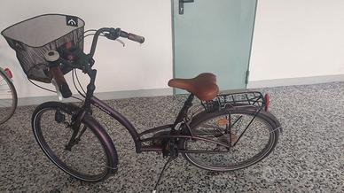 Bicicletta da donna color prugna sarinato