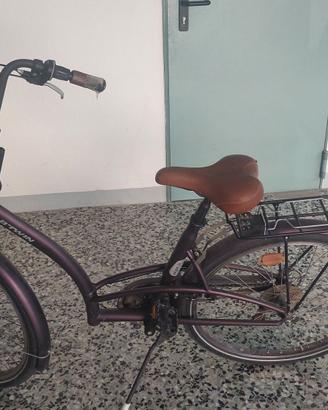 Bicicletta da donna color prugna sarinato