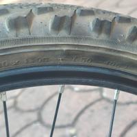 mountain bike bambina