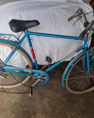 bicicletta da uomo