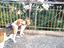 Immagine 6