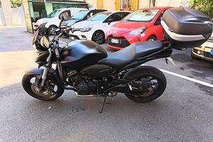 Honda Hornet 600