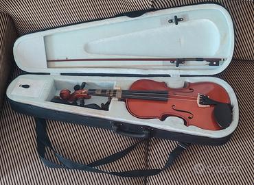 violino