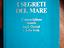 Immagine 6