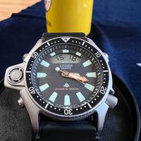 Citizen aqualand promaster