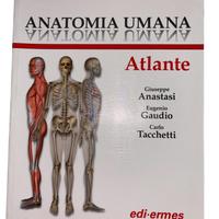 Anatomia Umana Edi-Ermes - Atlante