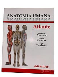 Anatomia Umana Edi-Ermes - Atlante