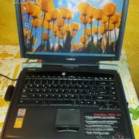 PC Toshiba Satellite 1900.101