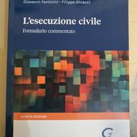 l esecuzione civile