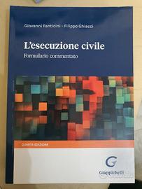l esecuzione civile