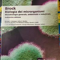 brock biologia dei microrganismi