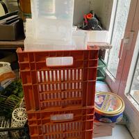 Mangiatoie e altro x uccelli